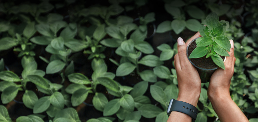 Climate resilience program